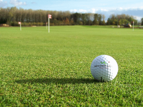 Golf Ball on the Green